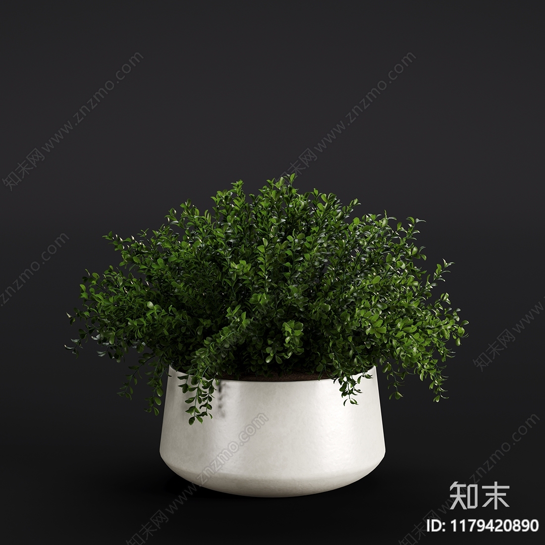 现代盆栽3D模型下载【ID:1179420890】