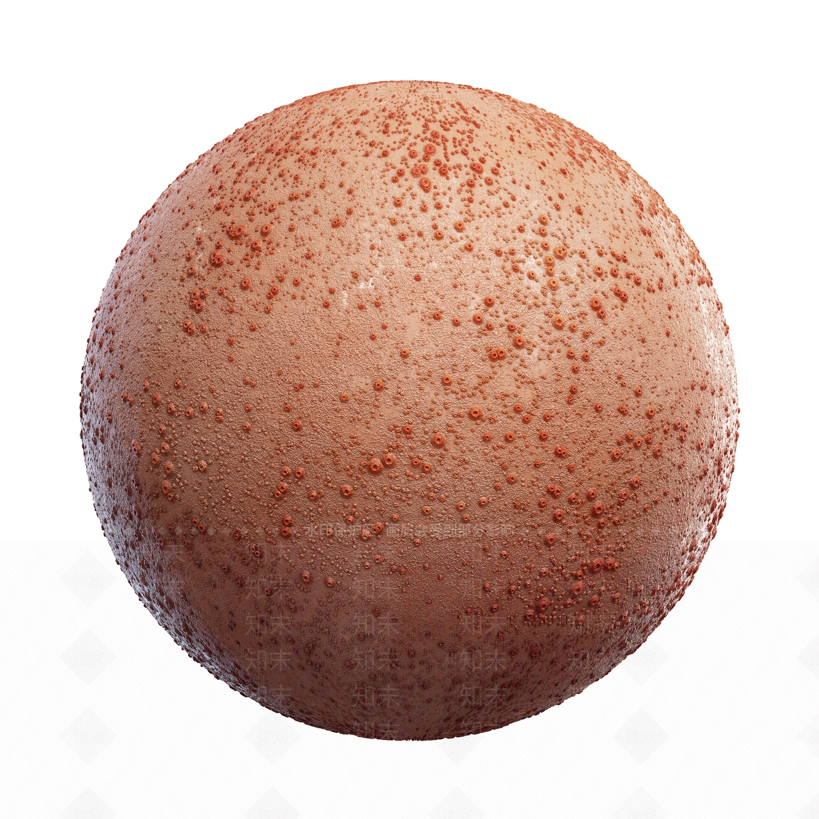 其他动物3D模型下载【ID:1179422198】