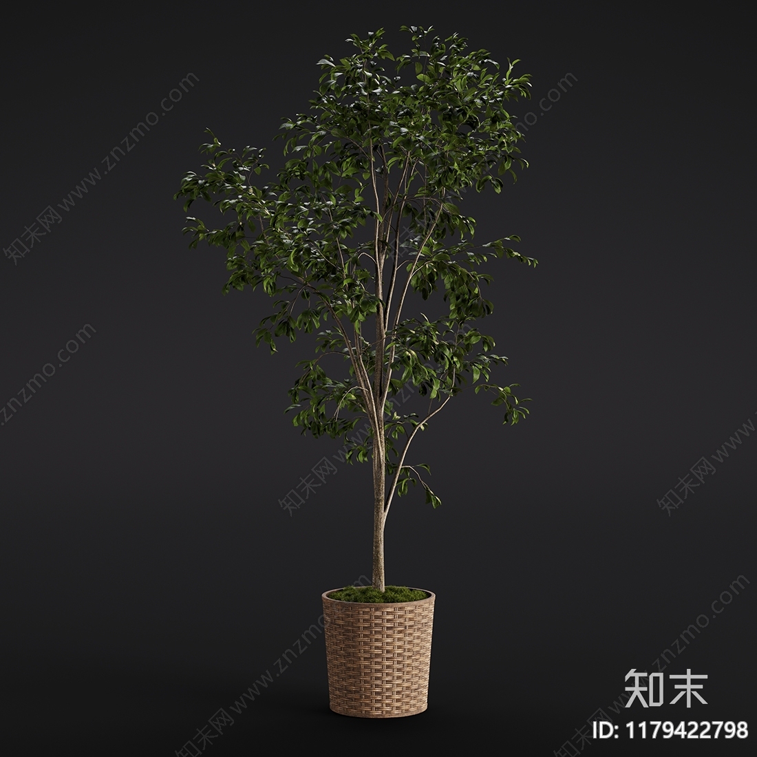 盆栽3D模型下载【ID:1179422798】