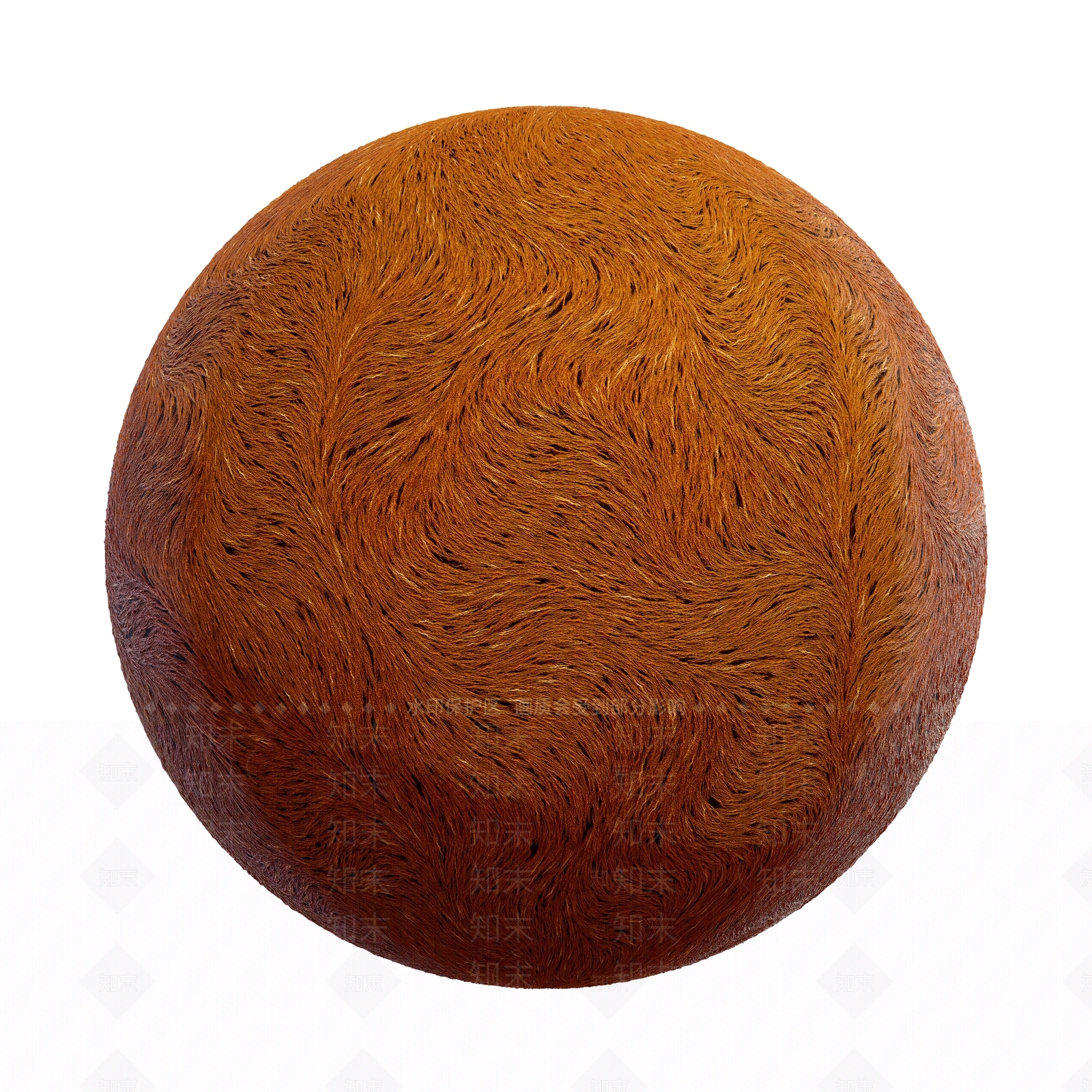 其他动物3D模型下载【ID:1179423115】
