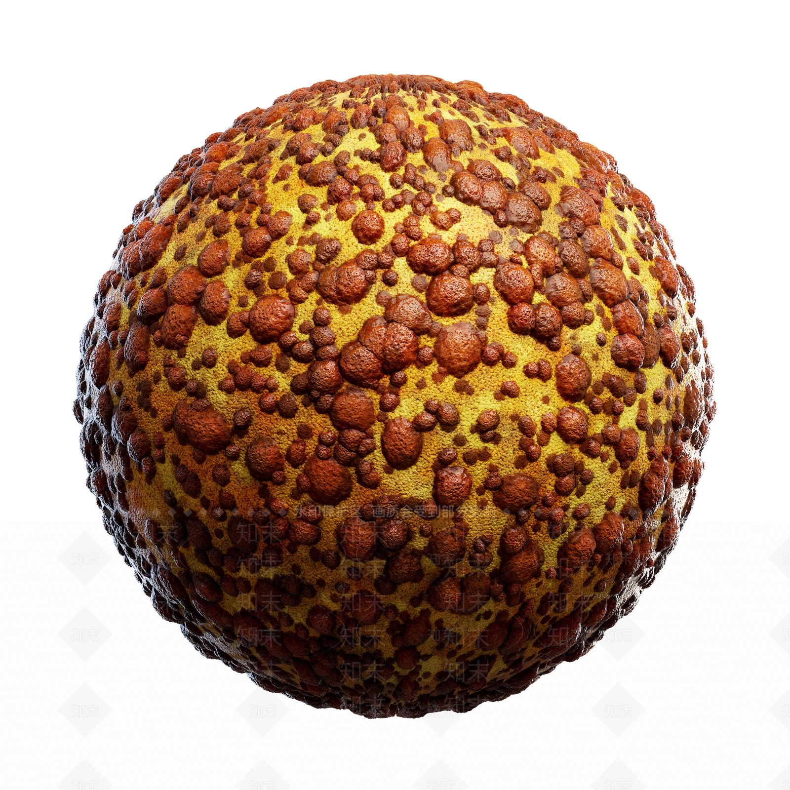 其他动物3D模型下载【ID:1179423932】