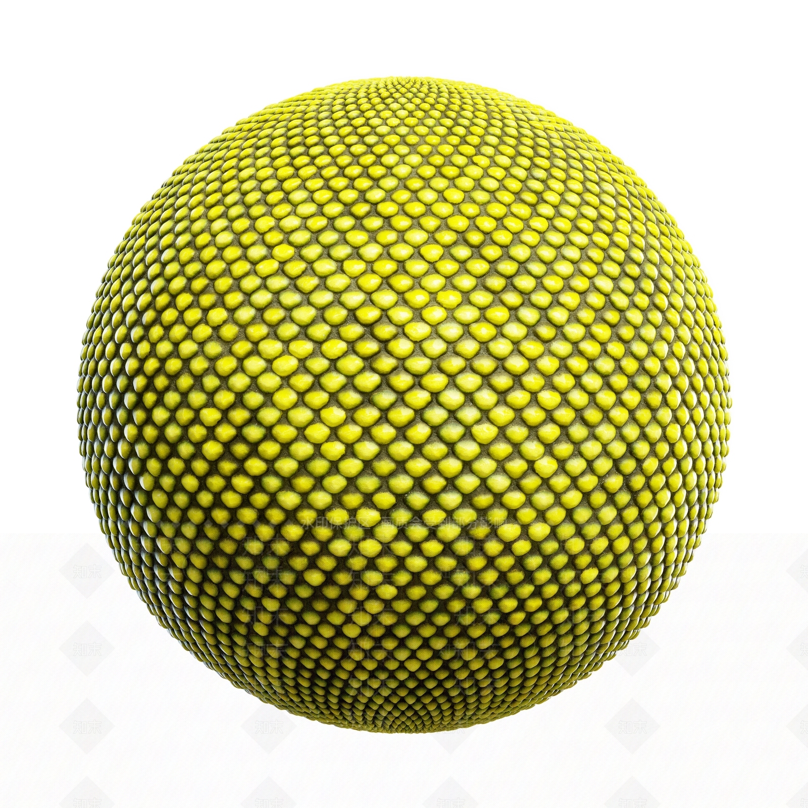 其他动物3D模型下载【ID:1179425116】