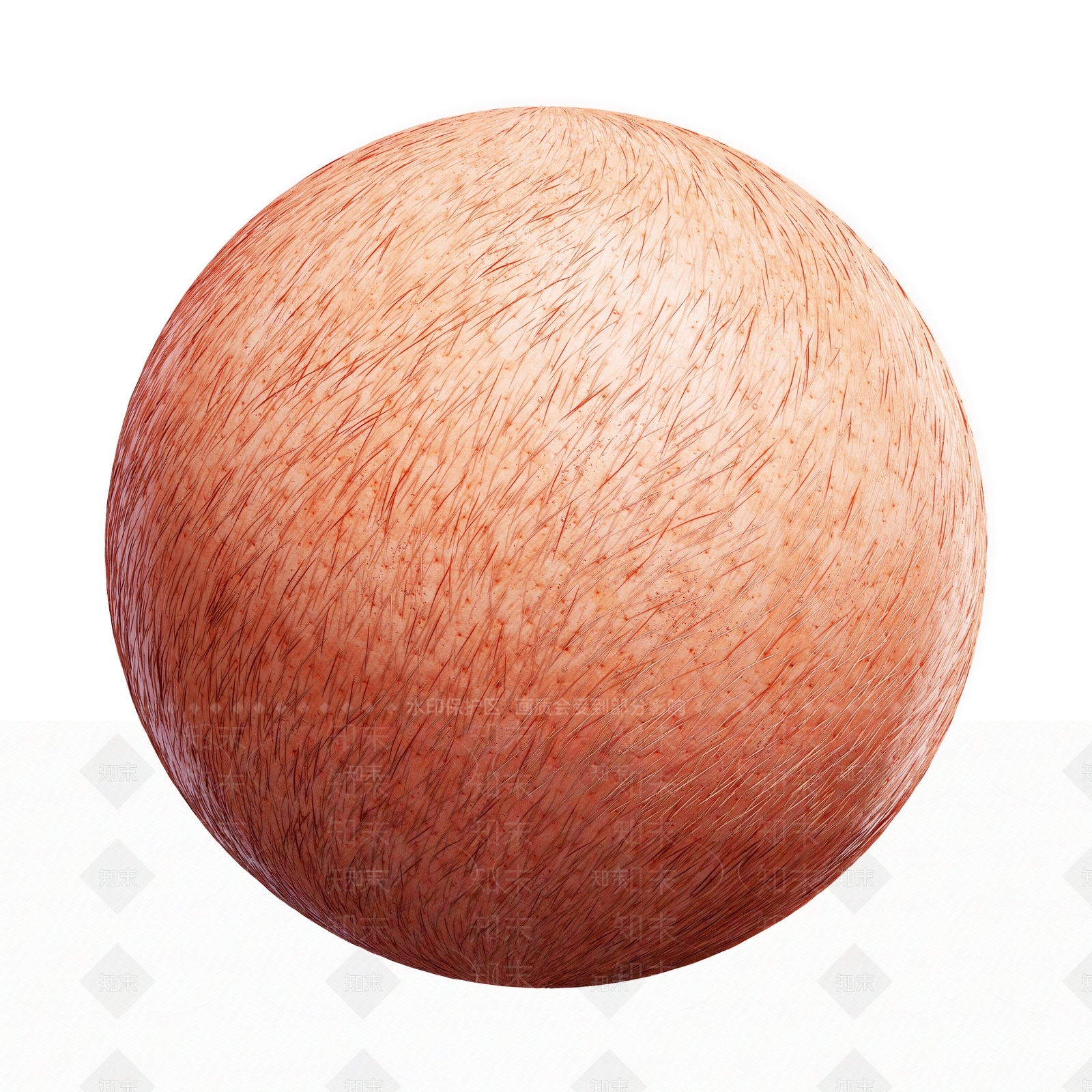 其他动物3D模型下载【ID:1179426137】