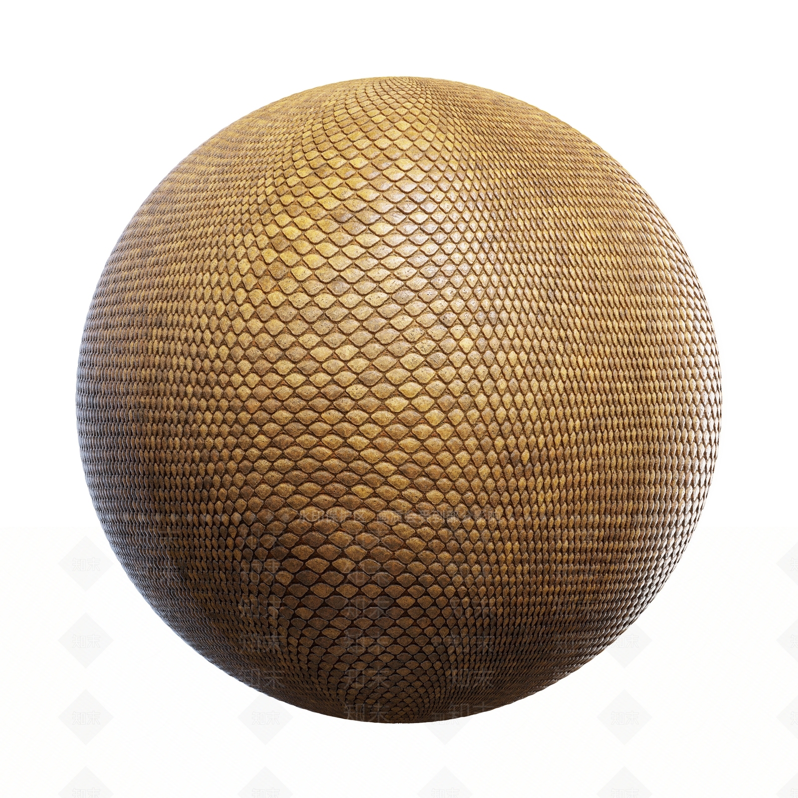 其他动物3D模型下载【ID:1179427281】