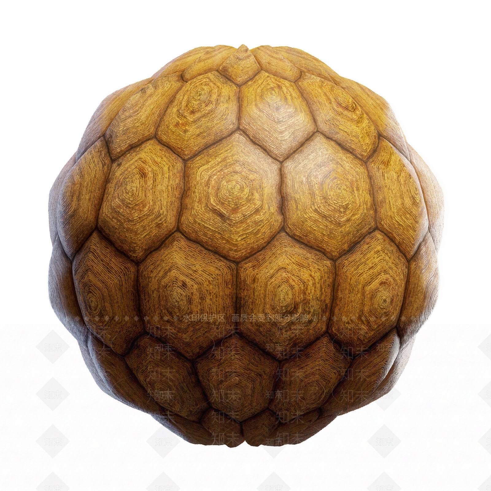 其他动物3D模型下载【ID:1179427446】