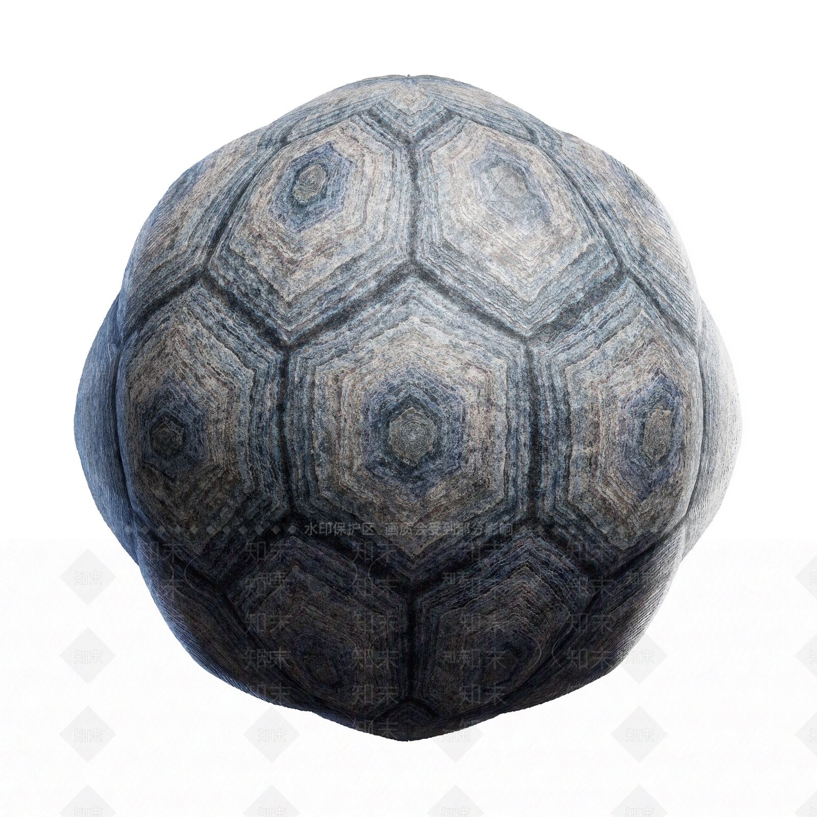 其他动物3D模型下载【ID:1179427545】