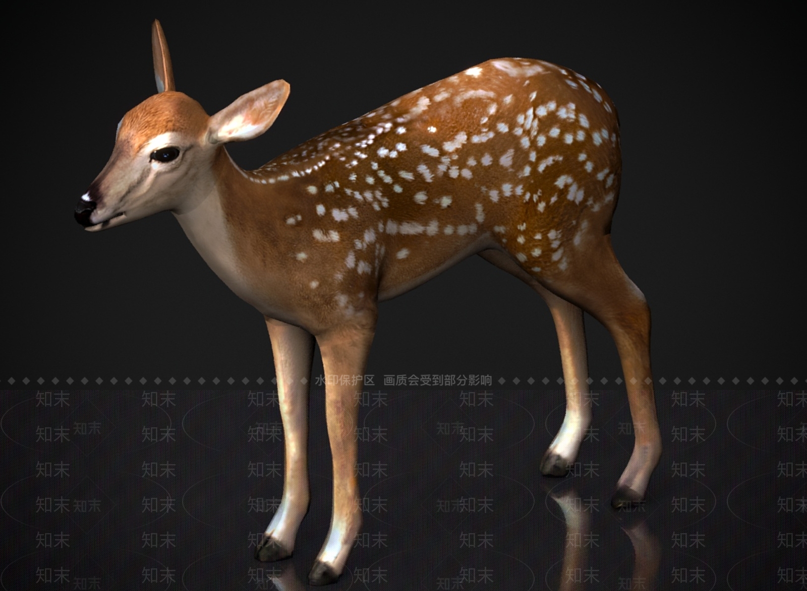 其他动物3D模型下载【ID:1179567890】