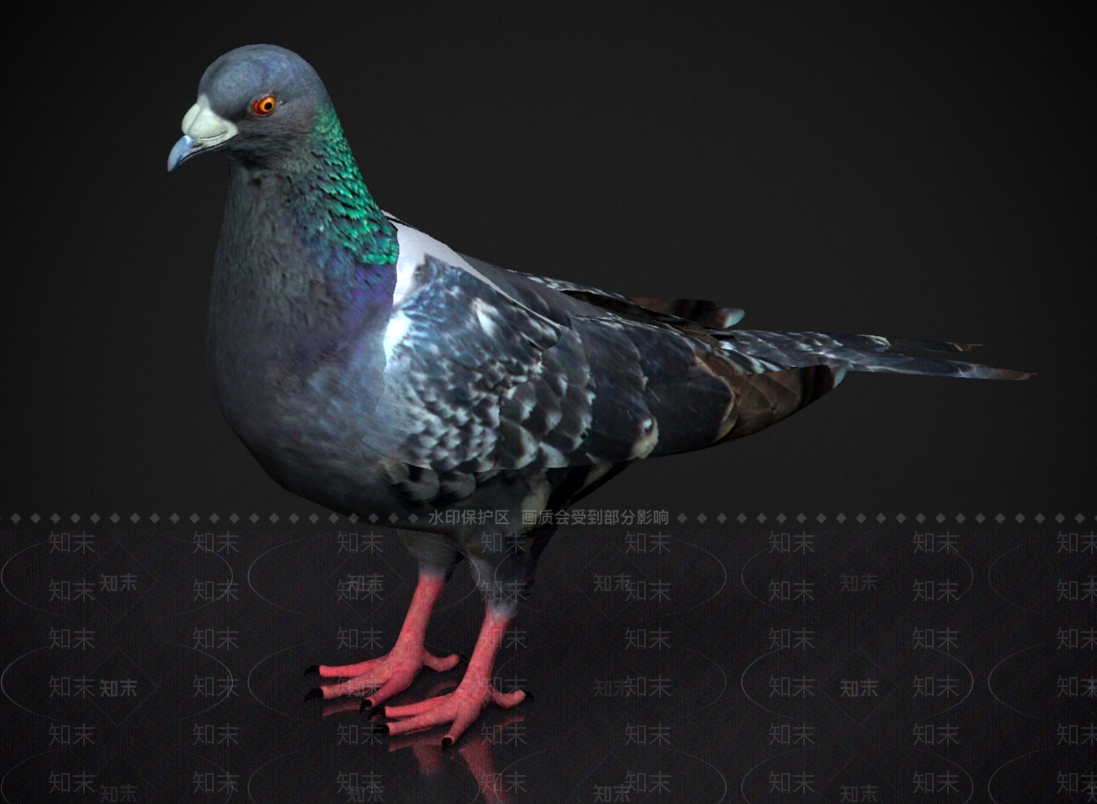 飞行类动物3D模型下载【ID:1179568523】