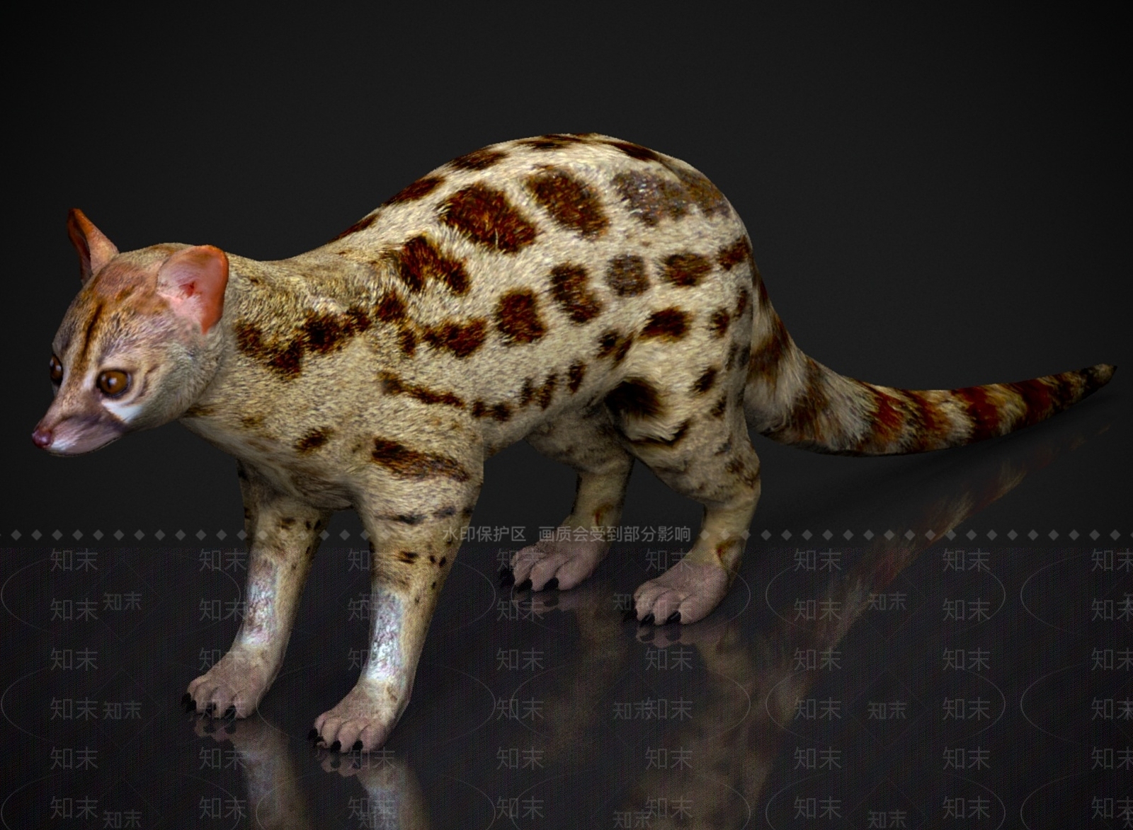 其他动物3D模型下载【ID:1179569122】