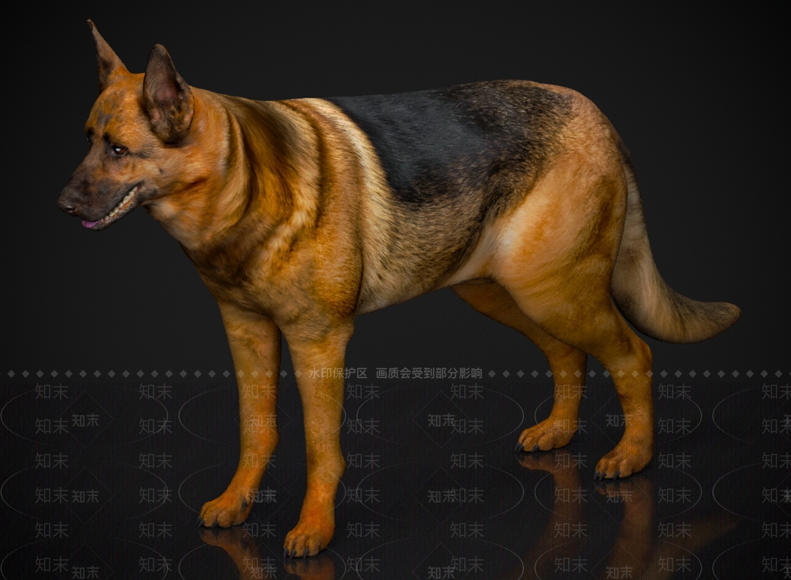 狗3D模型下载【ID:1179569328】