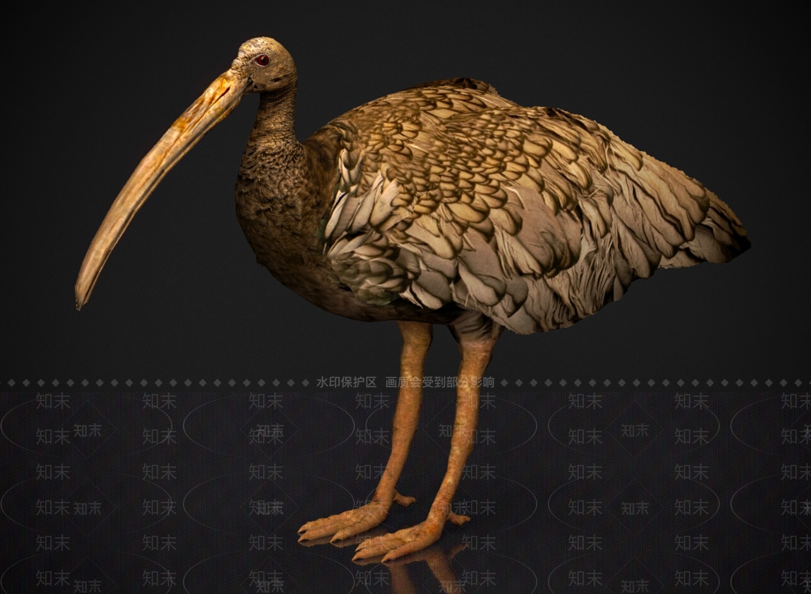 其他动物3D模型下载【ID:1179569562】