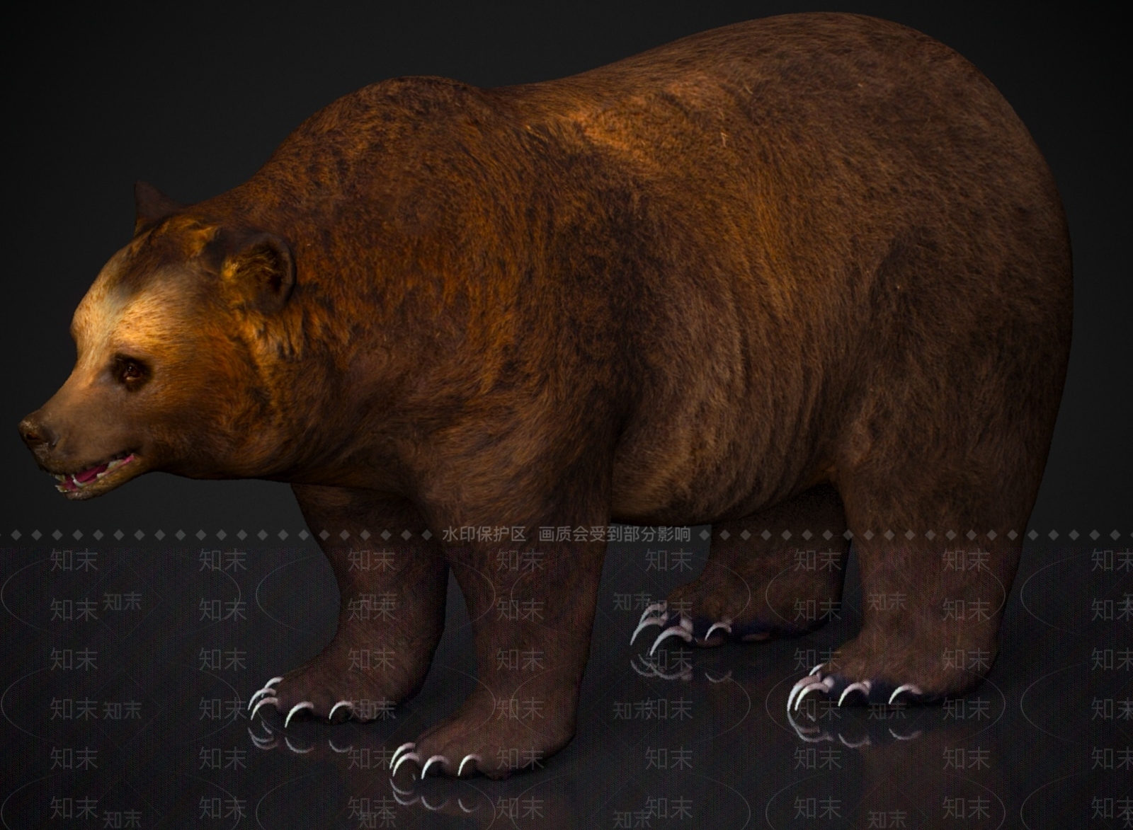 其他动物3D模型下载【ID:1179570688】