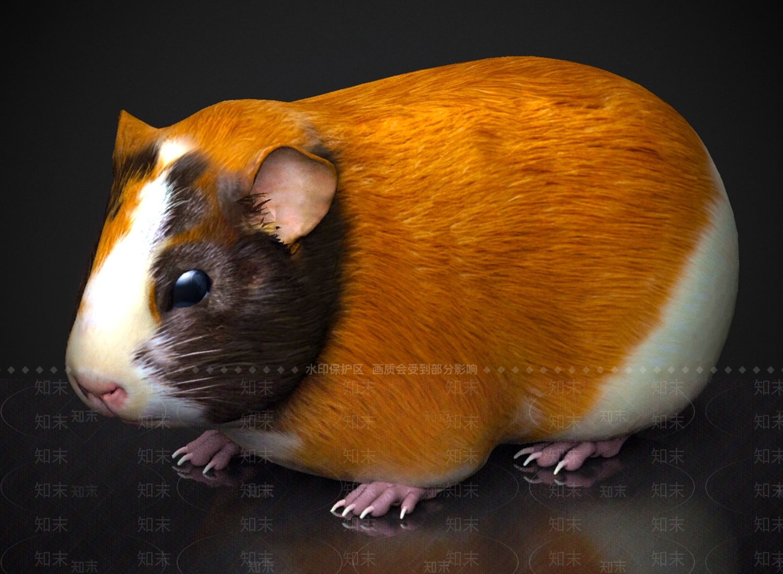 其他动物3D模型下载【ID:1179570865】