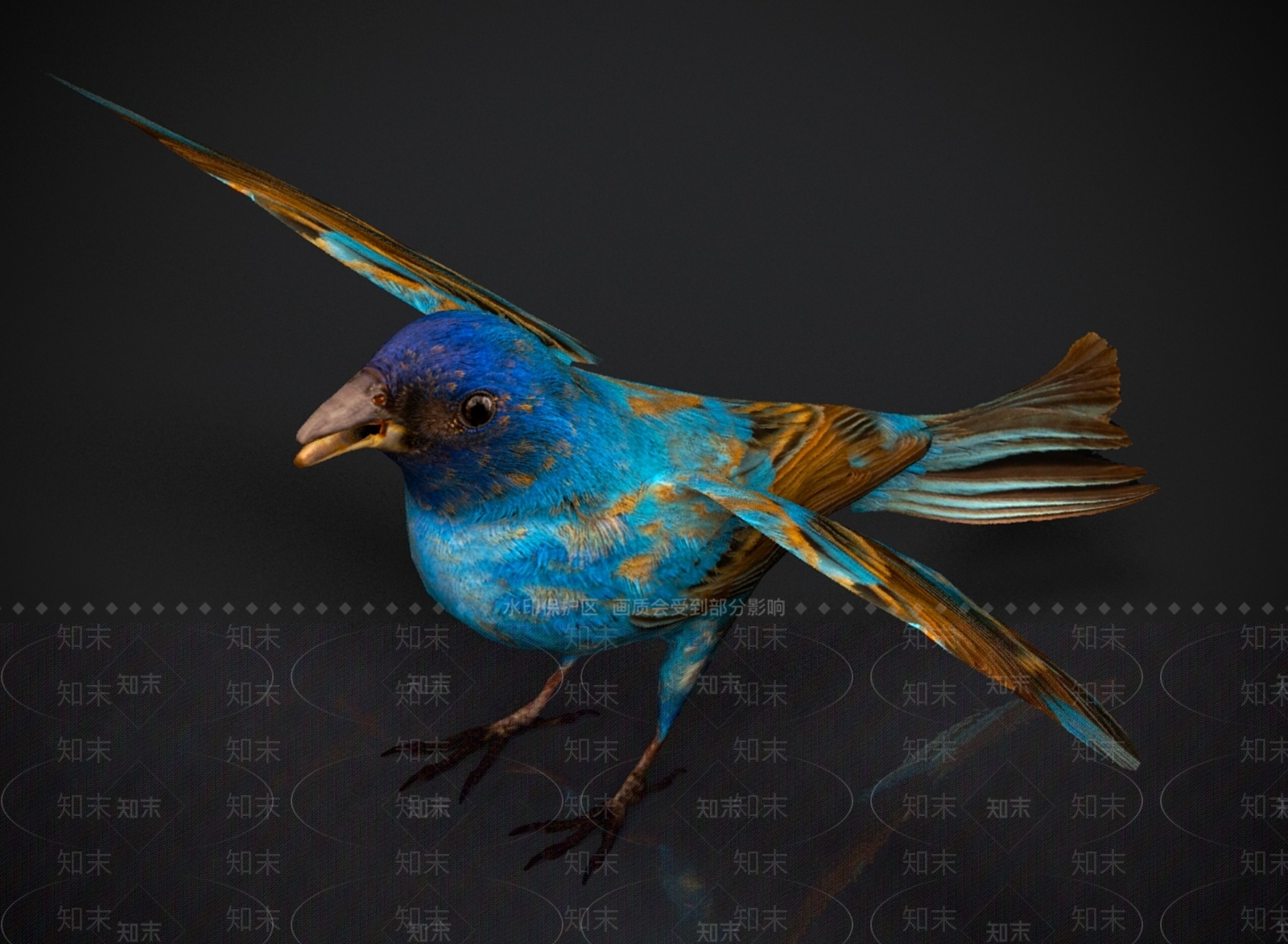 其他动物3D模型下载【ID:1179576465】