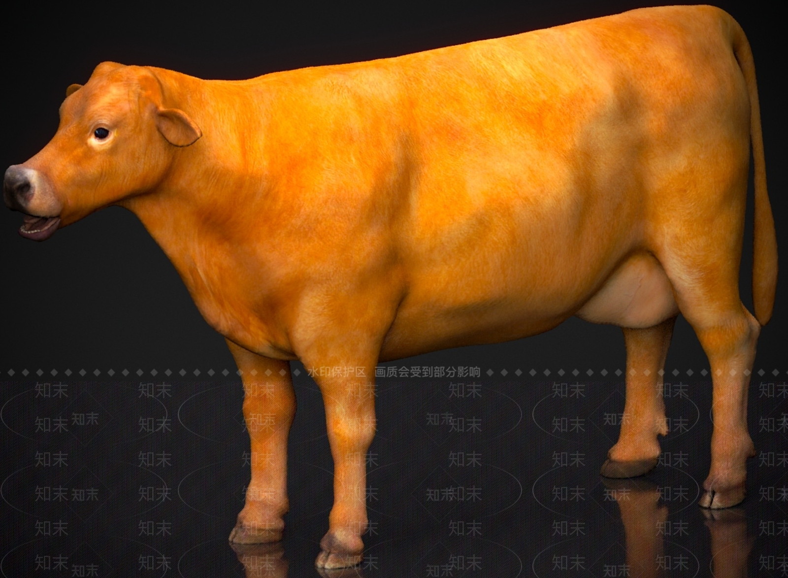 其他动物3D模型下载【ID:1179577095】