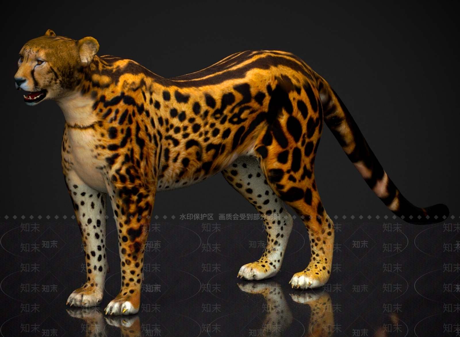 其他动物3D模型下载【ID:1179577368】