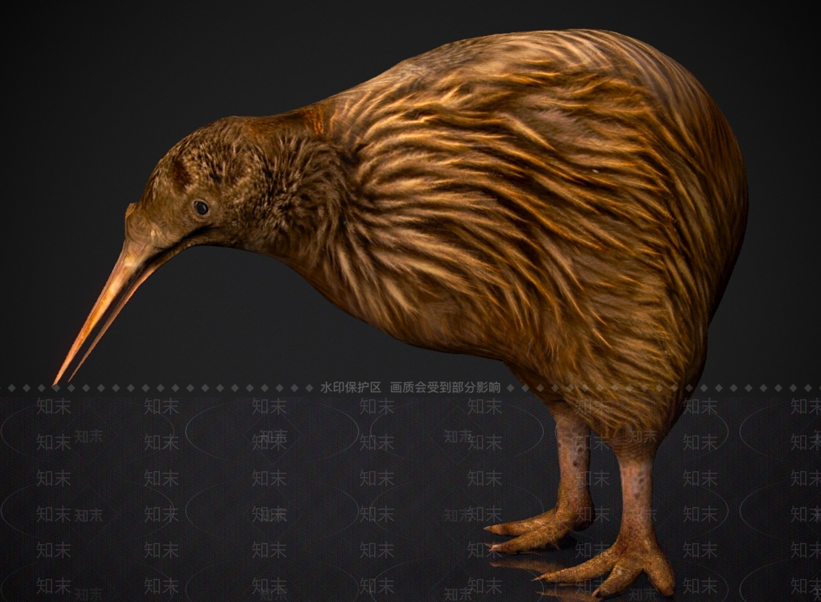其他动物3D模型下载【ID:1179577660】