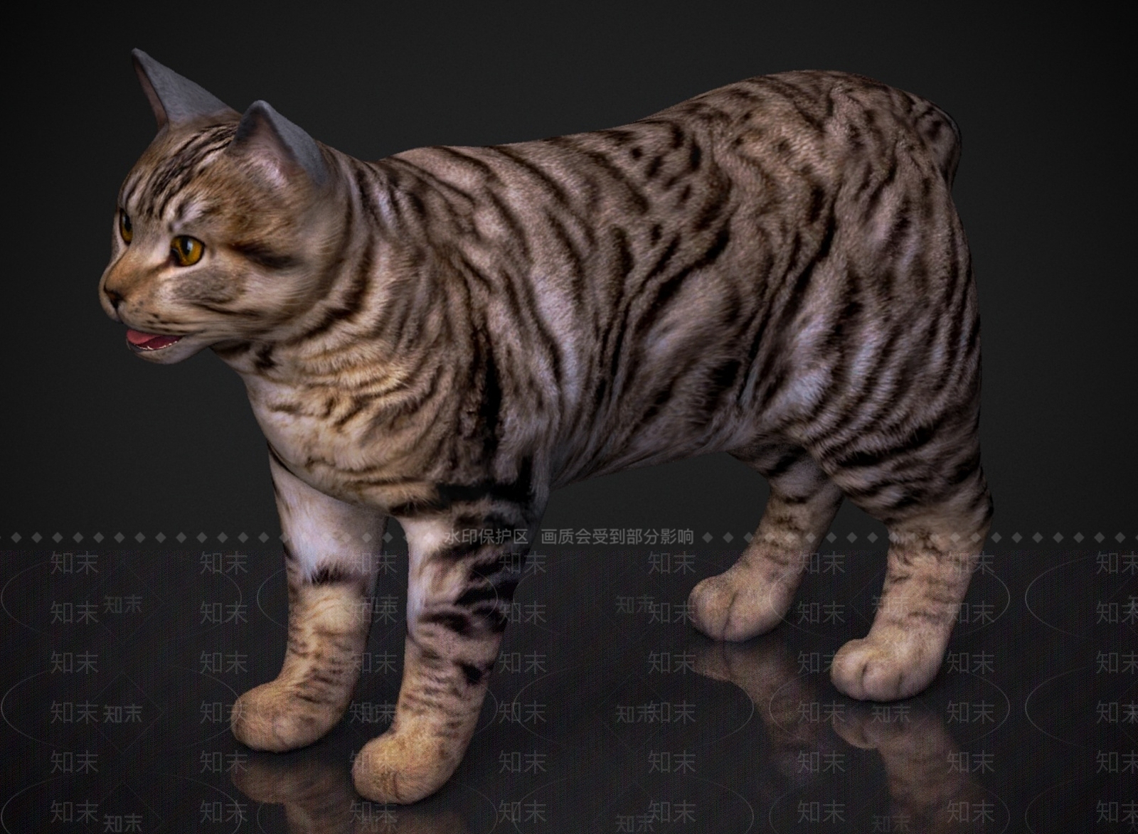 猫3D模型下载【ID:1179577892】
