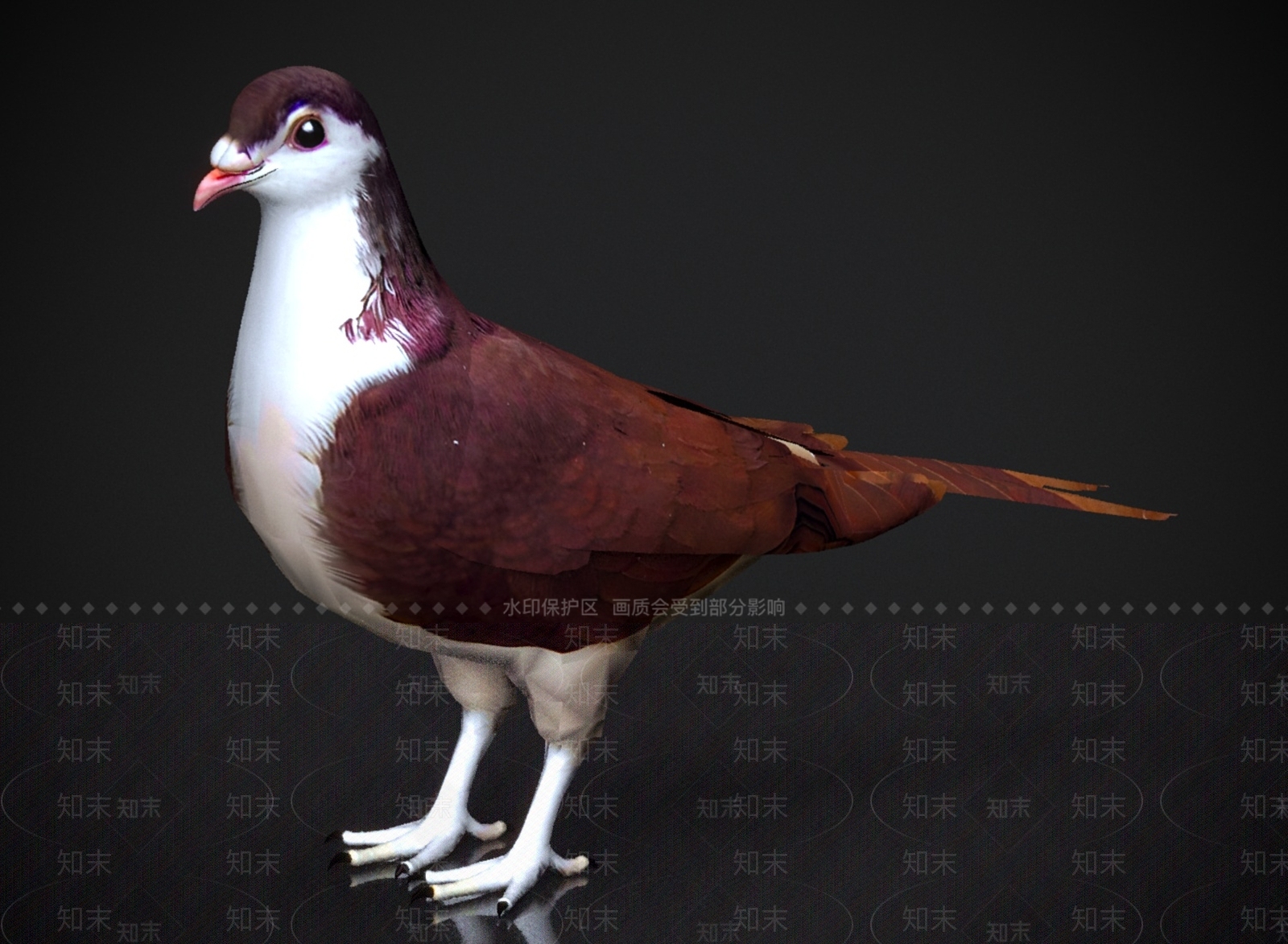 其他动物3D模型下载【ID:1179578030】