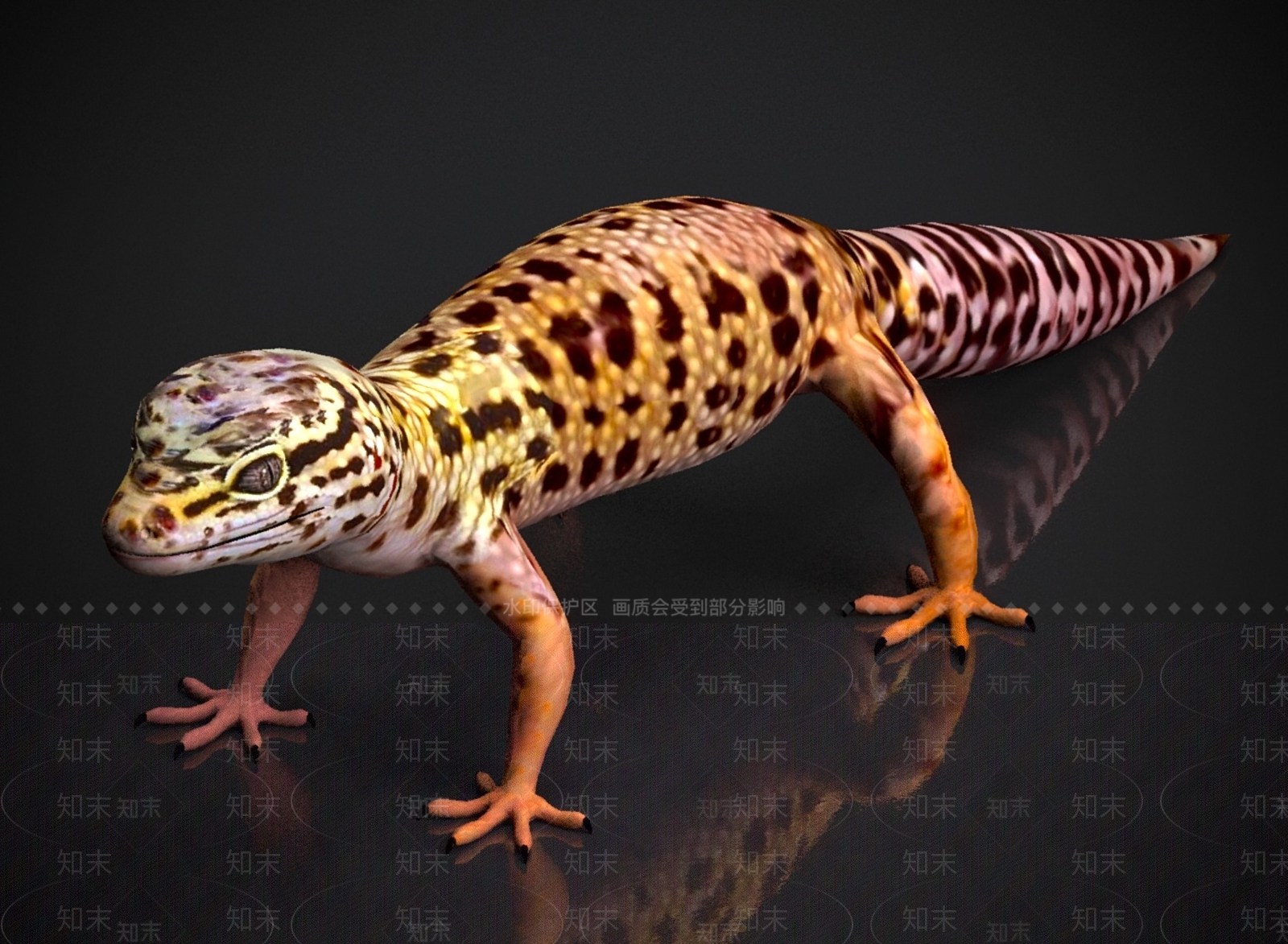 其他动物3D模型下载【ID:1179578307】