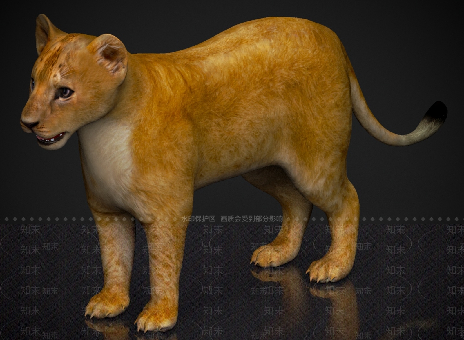 其他动物3D模型下载【ID:1179578717】