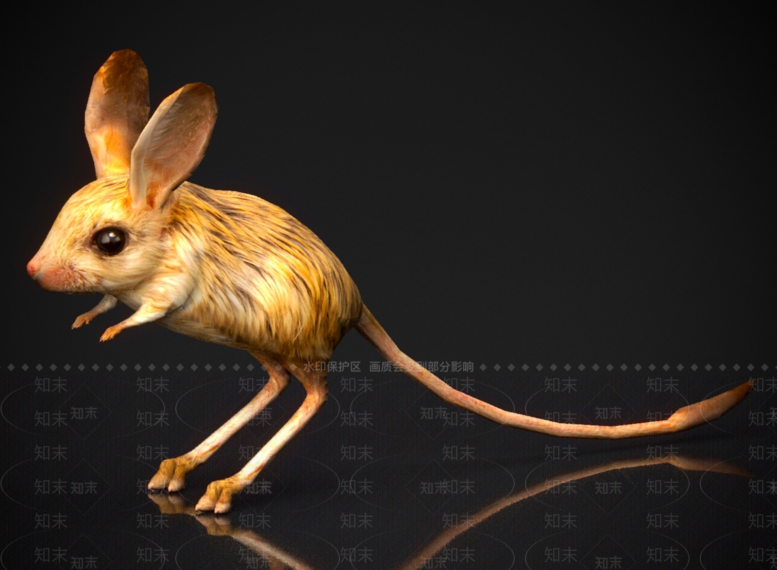 其他动物3D模型下载【ID:1179579080】