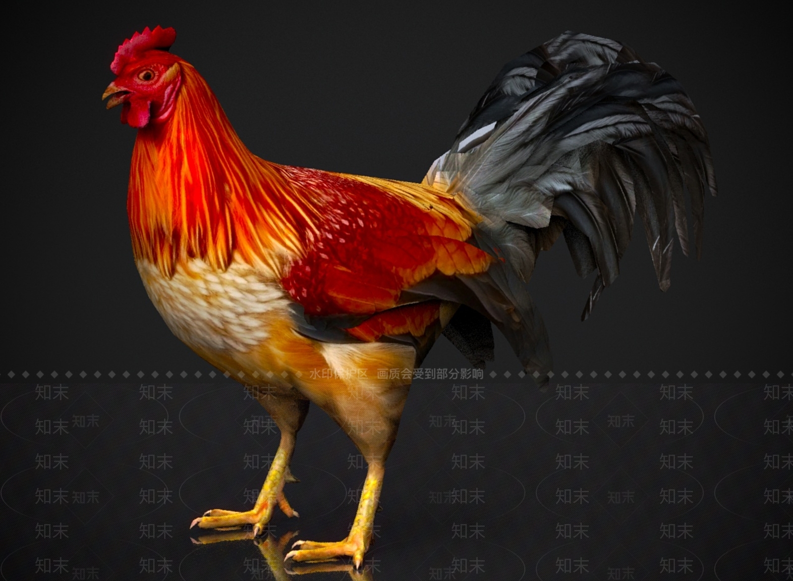 家禽类动物3D模型下载【ID:1179580223】