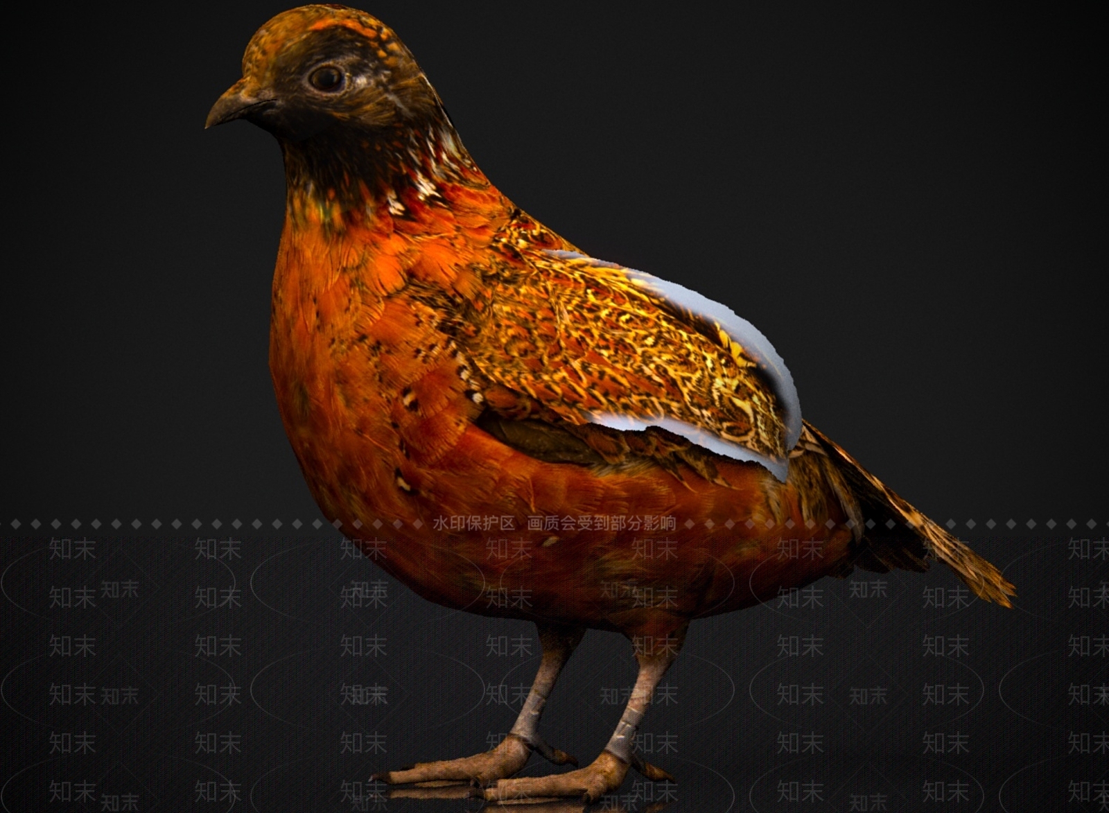其他动物3D模型下载【ID:1179580879】