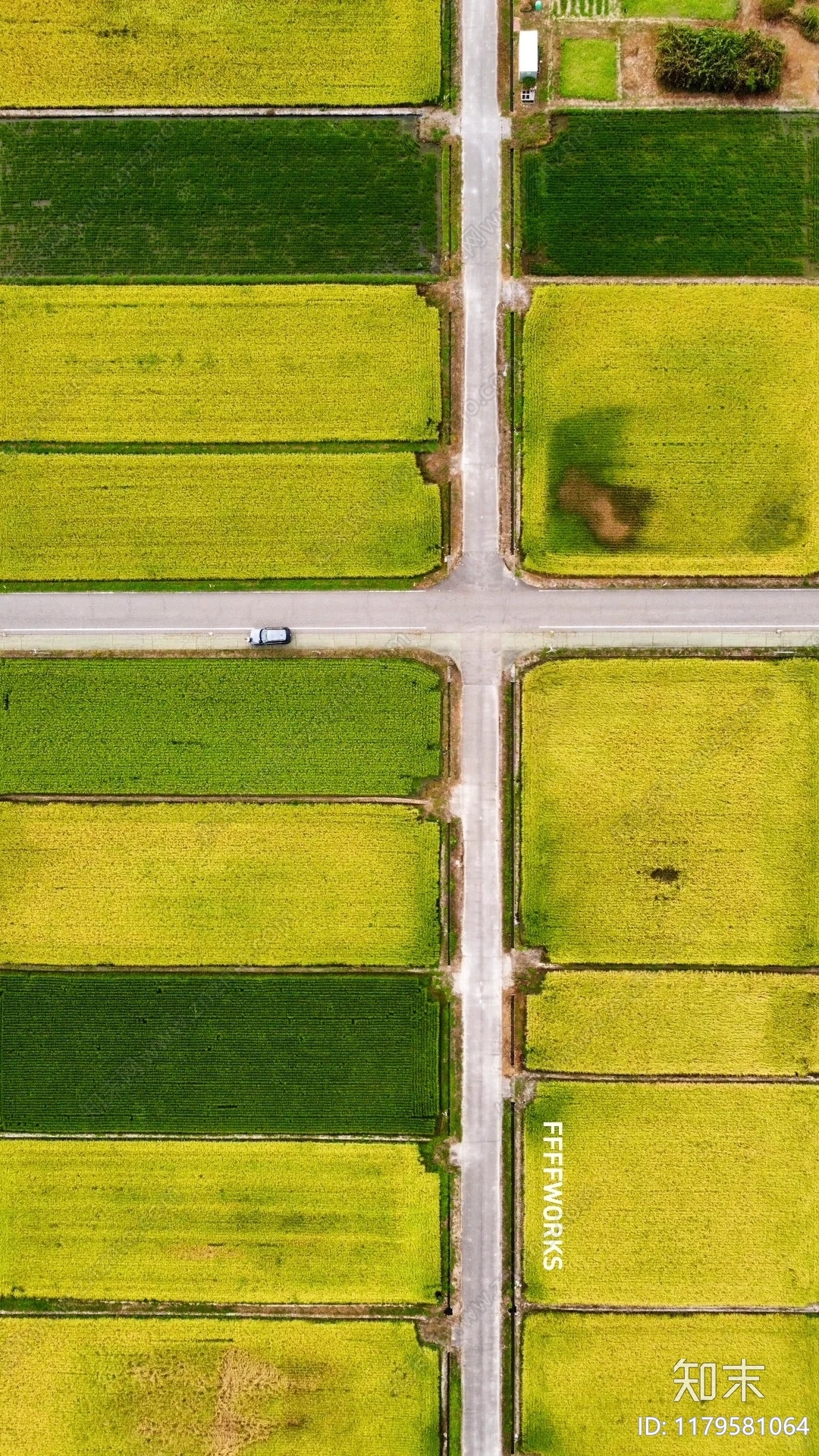 现代自然地面贴图下载【ID:1179581064】