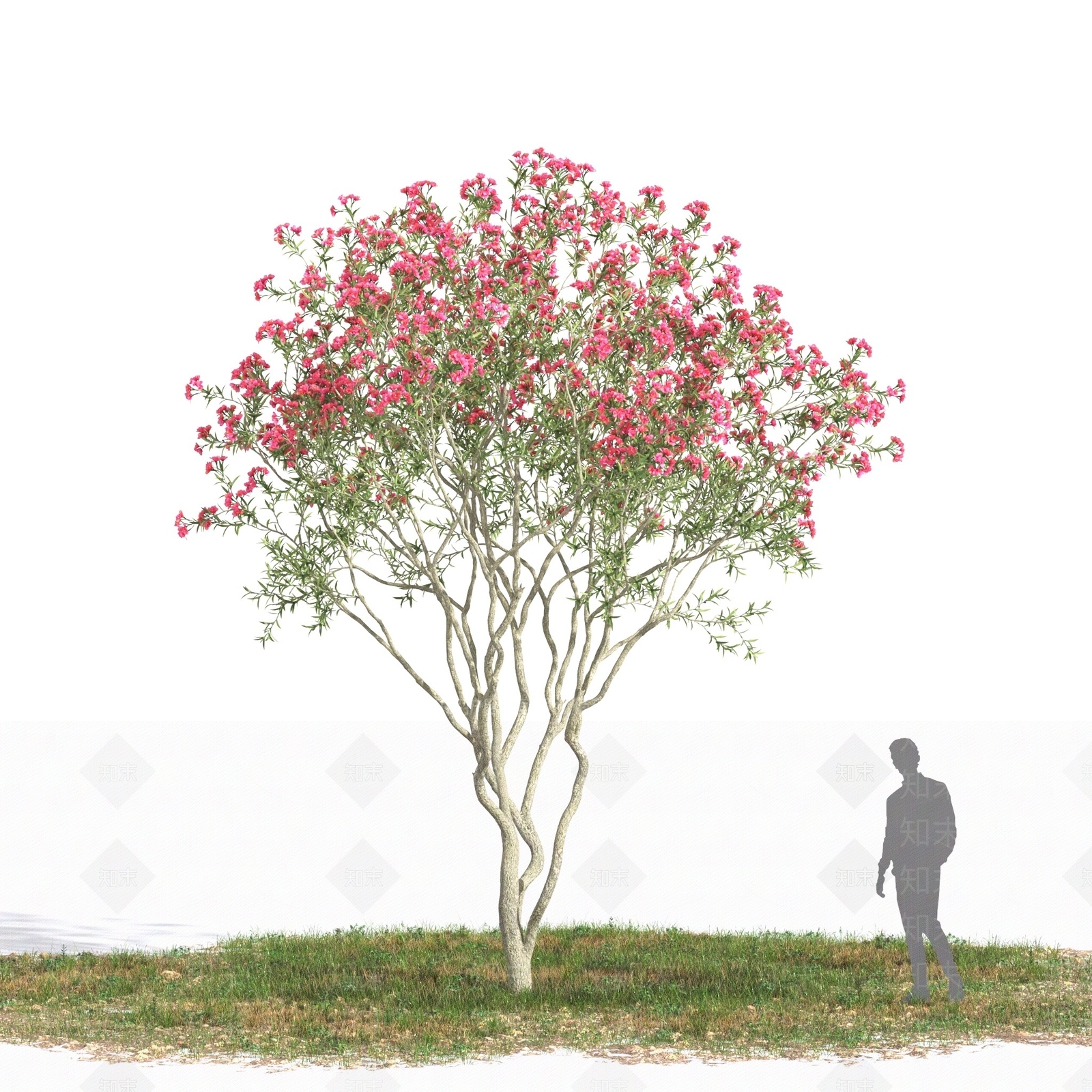 景观树3D模型下载【ID:1179583970】