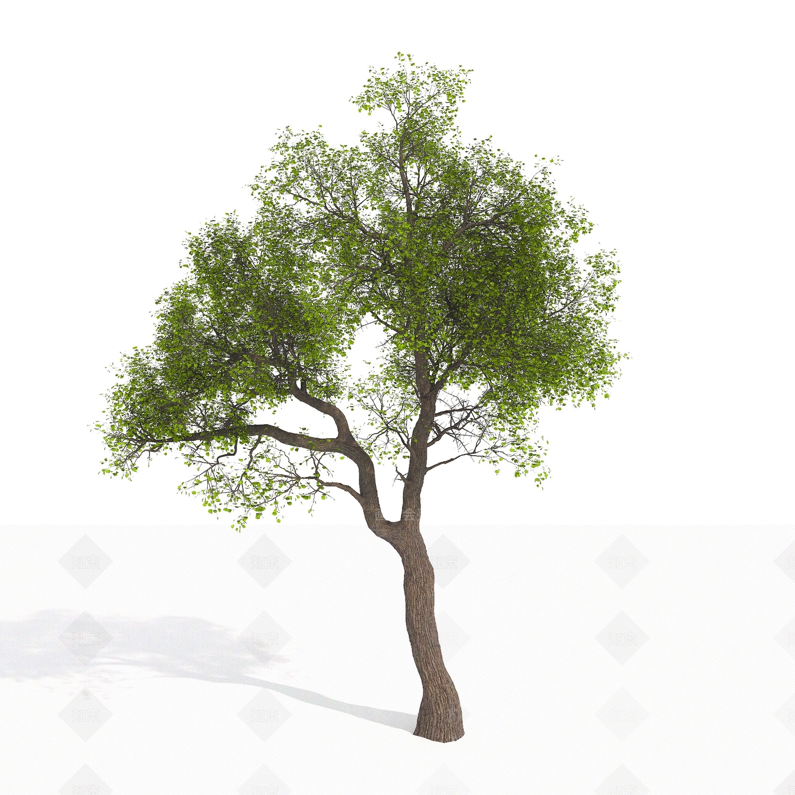 乔木3D模型下载【ID:1179586709】