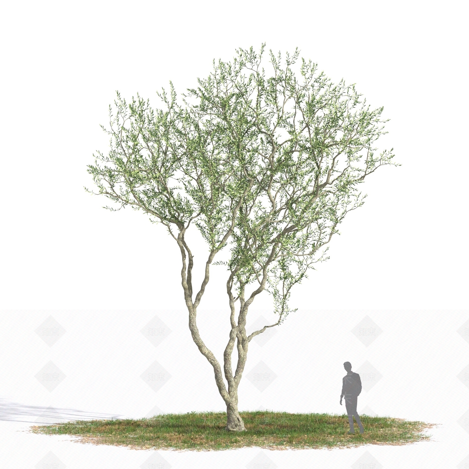 景观树3D模型下载【ID:1179587702】