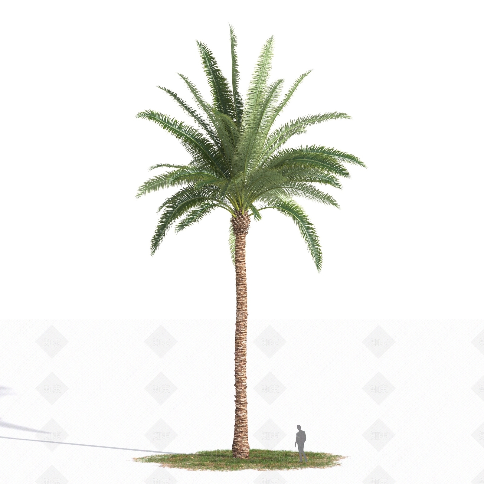 灌木3D模型下载【ID:1179589549】