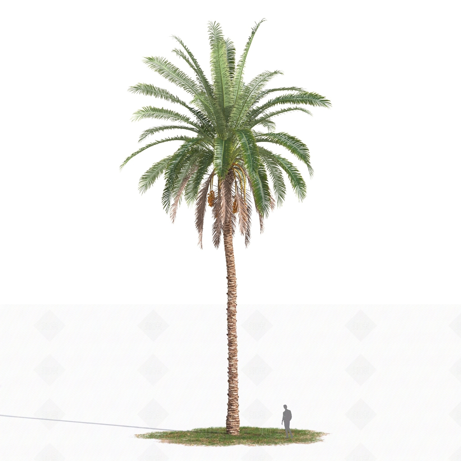 灌木3D模型下载【ID:1179589815】