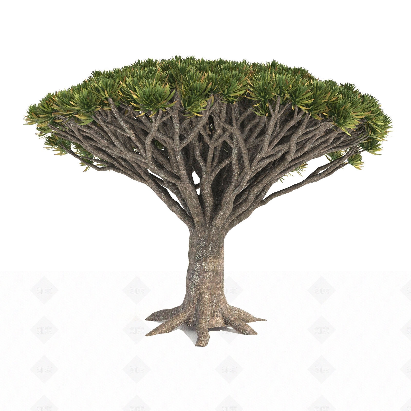 景观树3D模型下载【ID:1179595832】