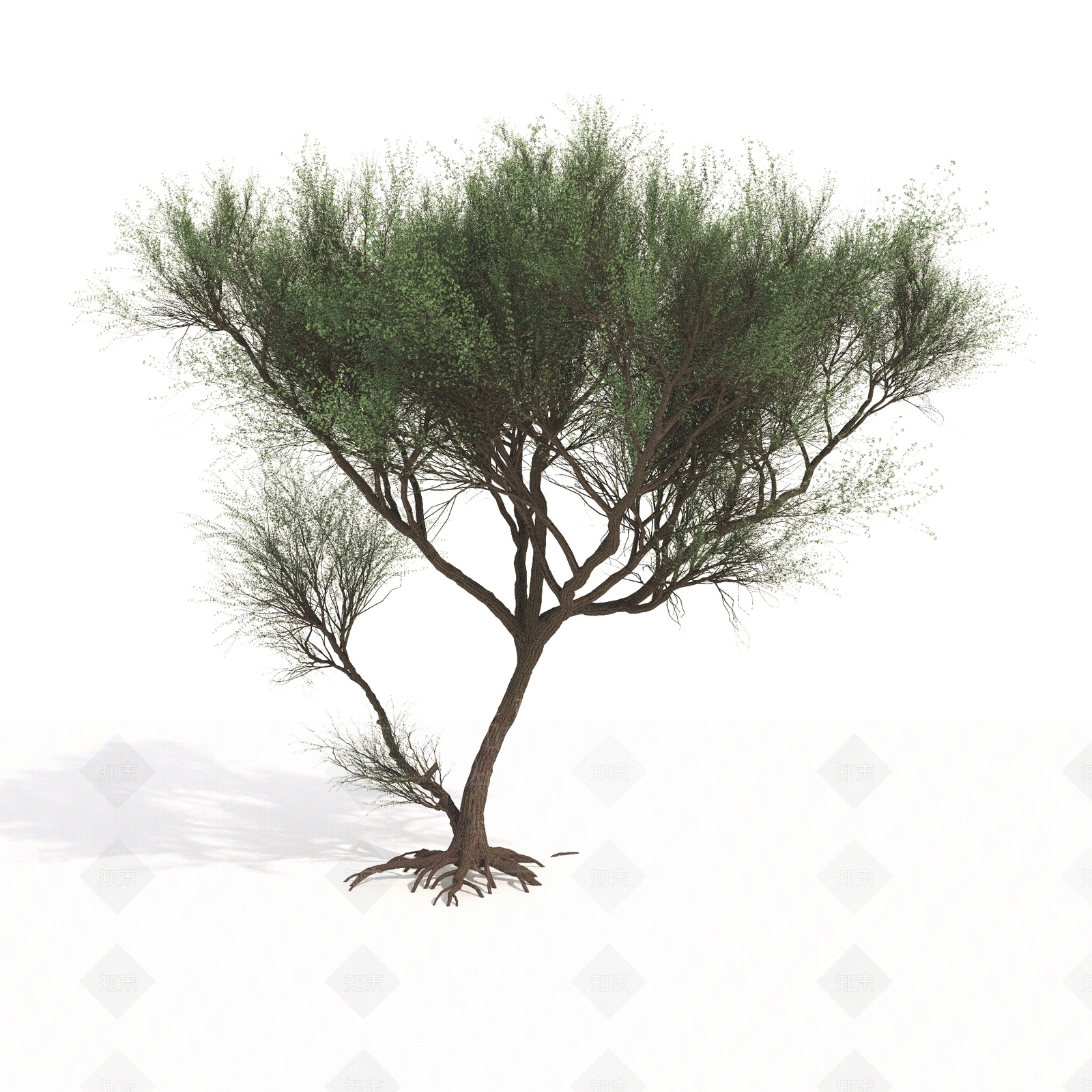 景观树3D模型下载【ID:1179597579】