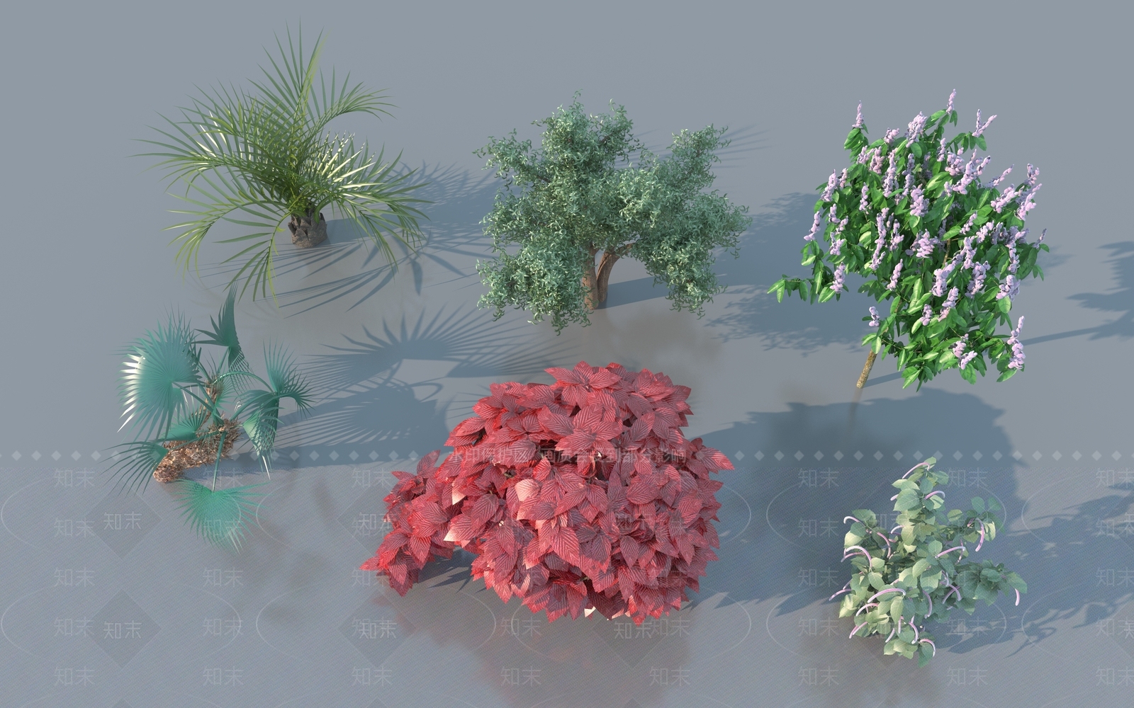 景观树3D模型下载【ID:1179635483】