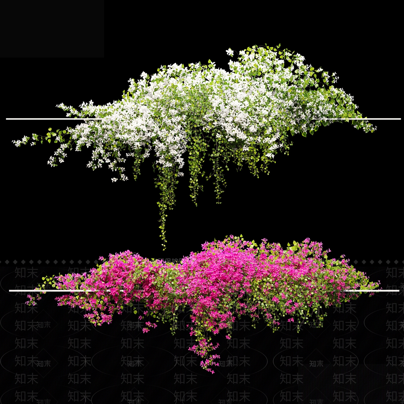 藤蔓3D模型下载【ID:1179651530】