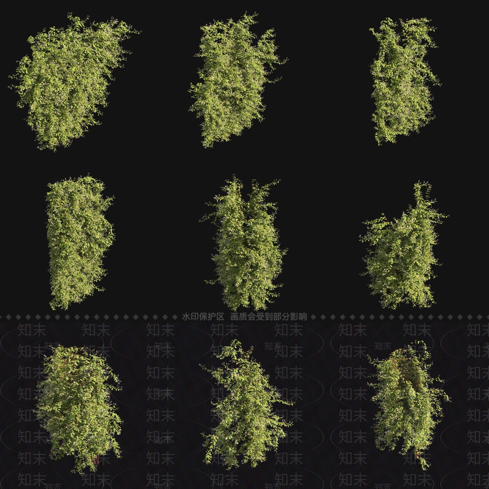 藤蔓3D模型下载【ID:1179676530】