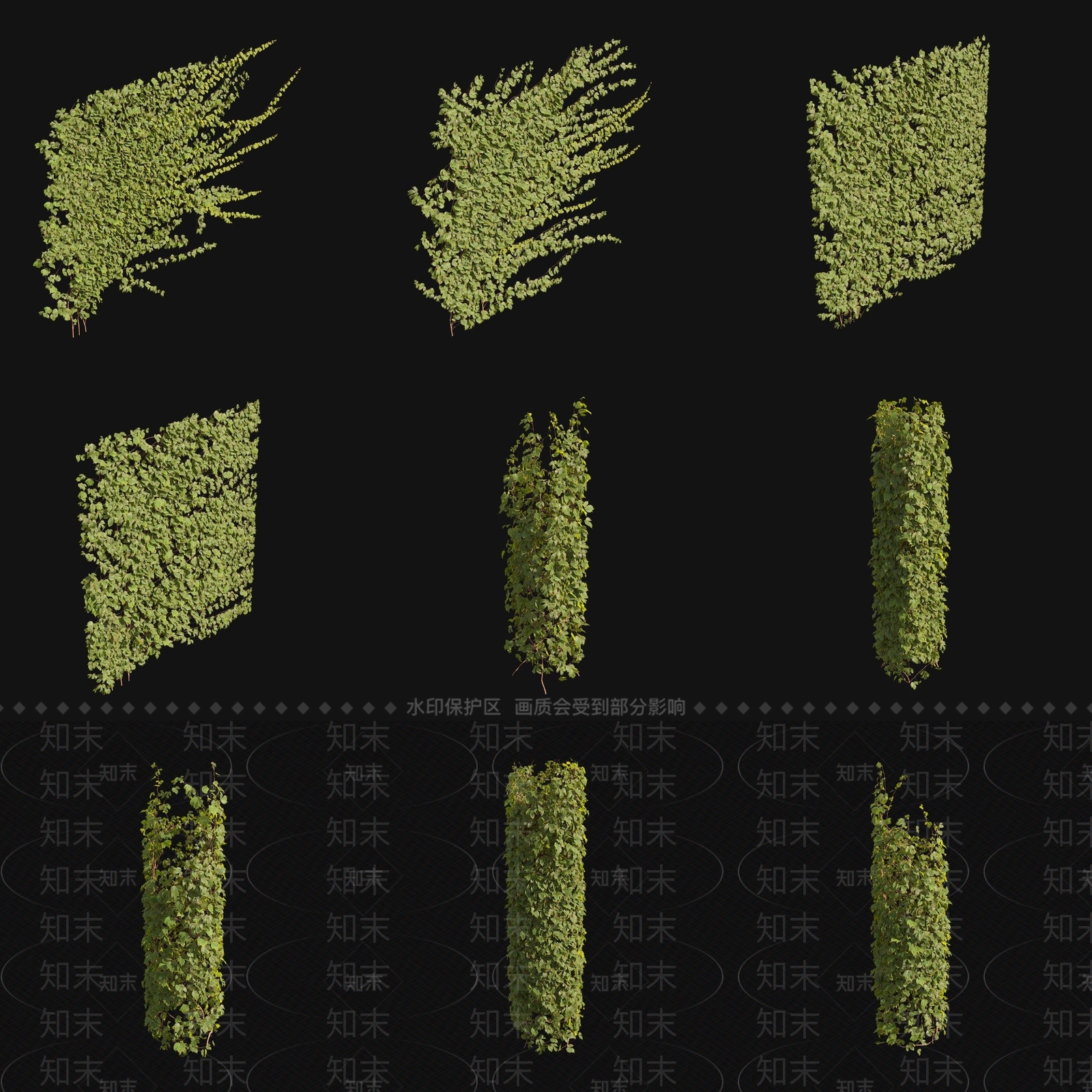 藤蔓3D模型下载【ID:1179676965】
