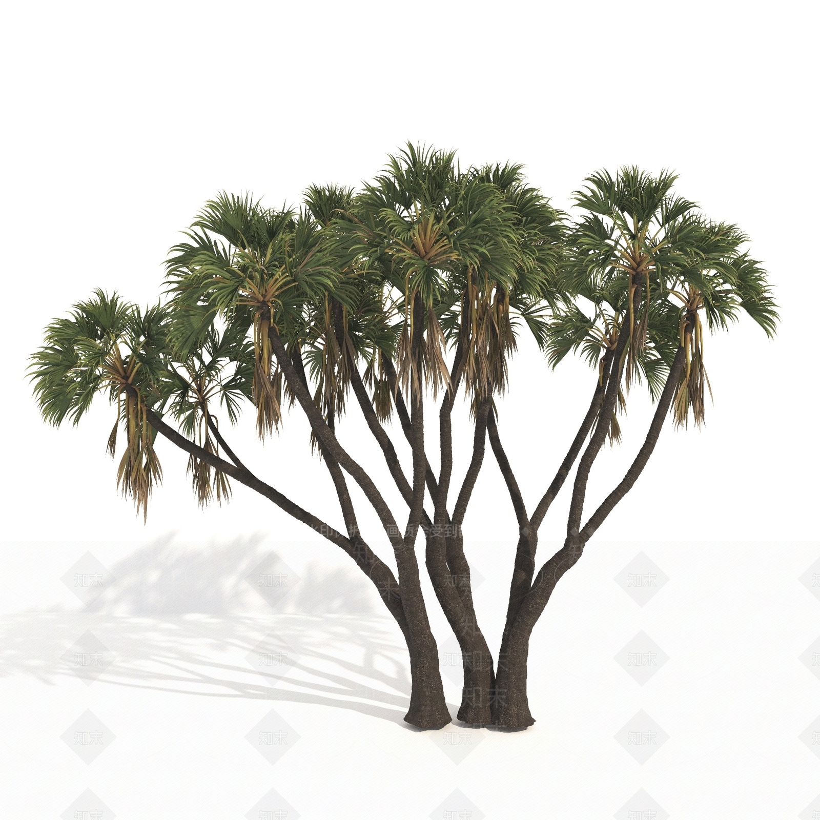 景观树3D模型下载【ID:1179694302】