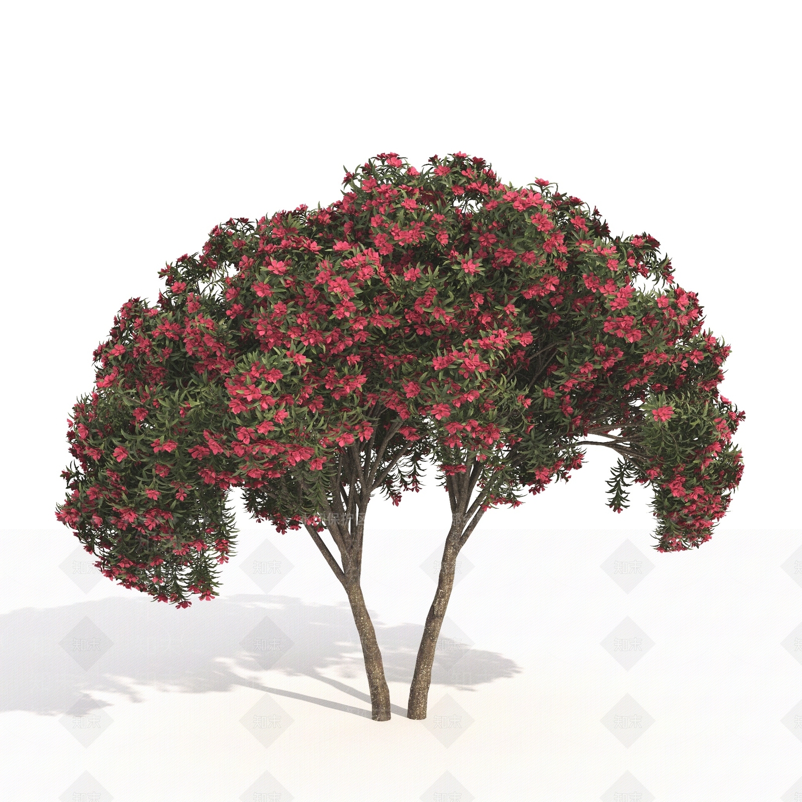 景观树3D模型下载【ID:1179700064】