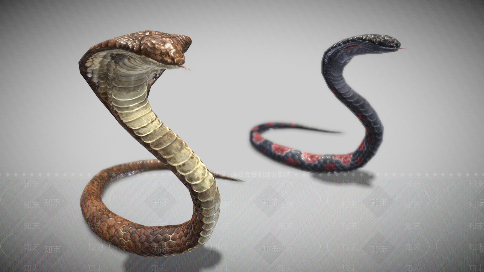 爬行类动物3D模型下载【ID:1179723860】