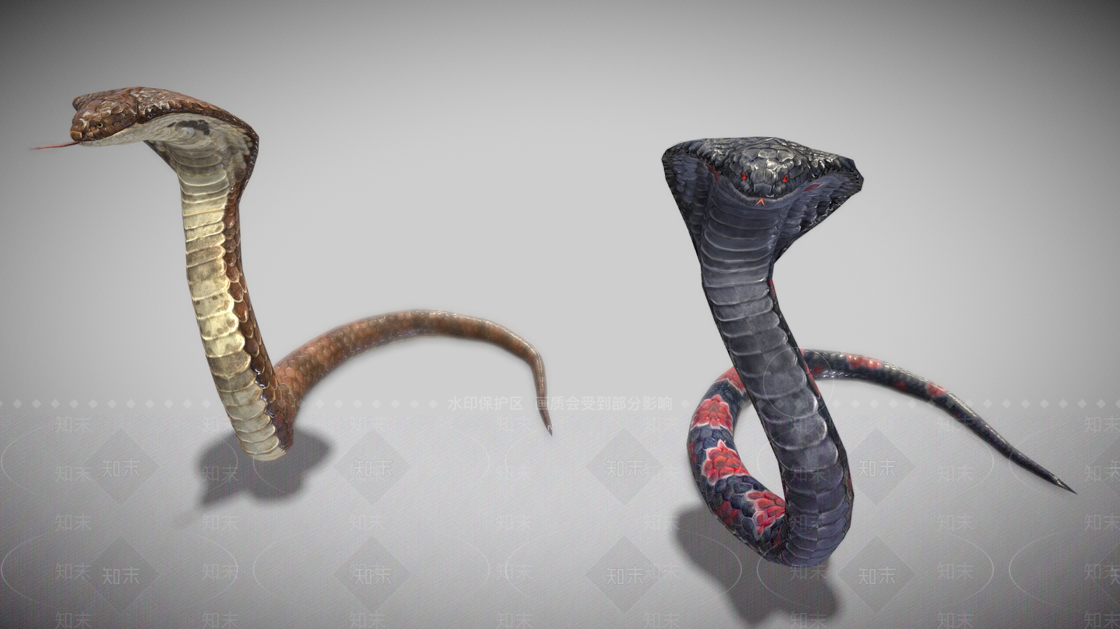 爬行类动物3D模型下载【ID:1179723860】