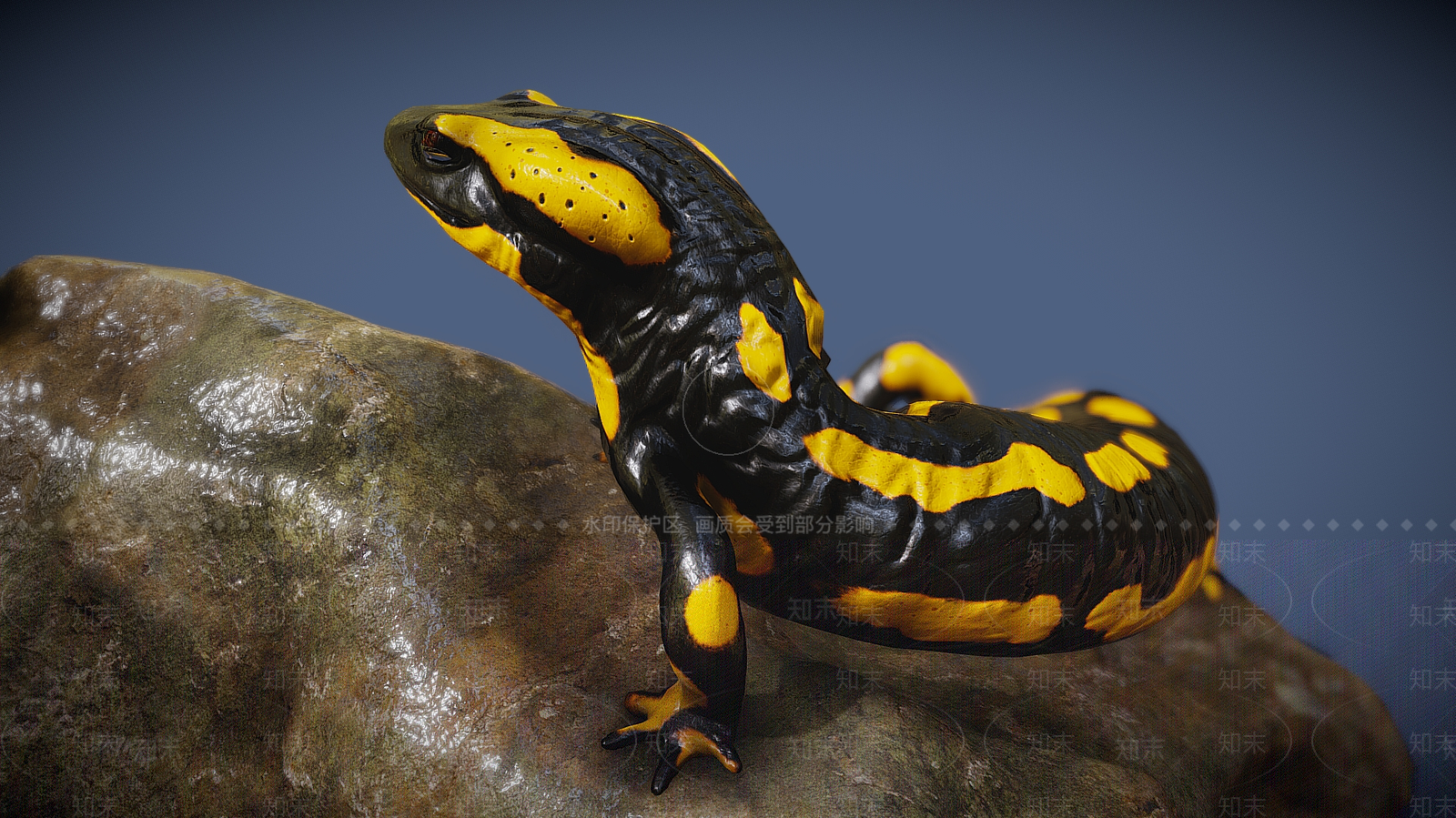 爬行类动物3D模型下载【ID:1179758732】
