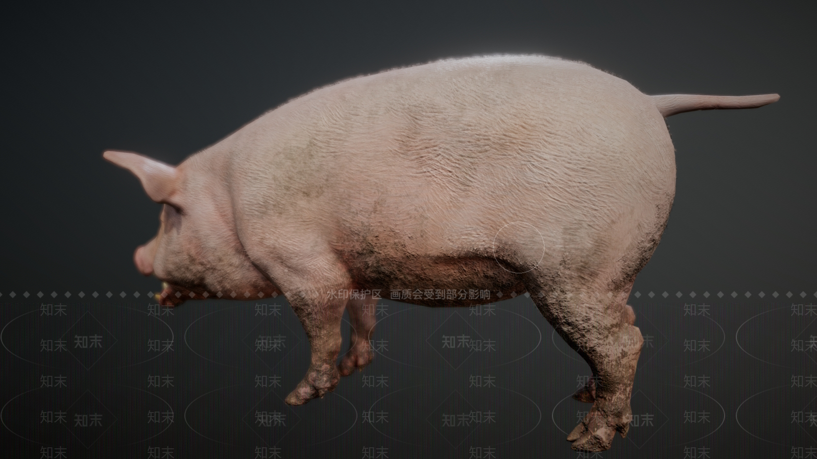 爬行类动物3D模型下载【ID:1179759628】