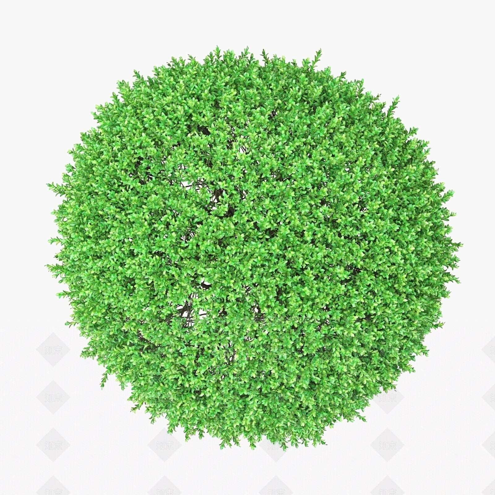 灌木3D模型下载【ID:1179764515】