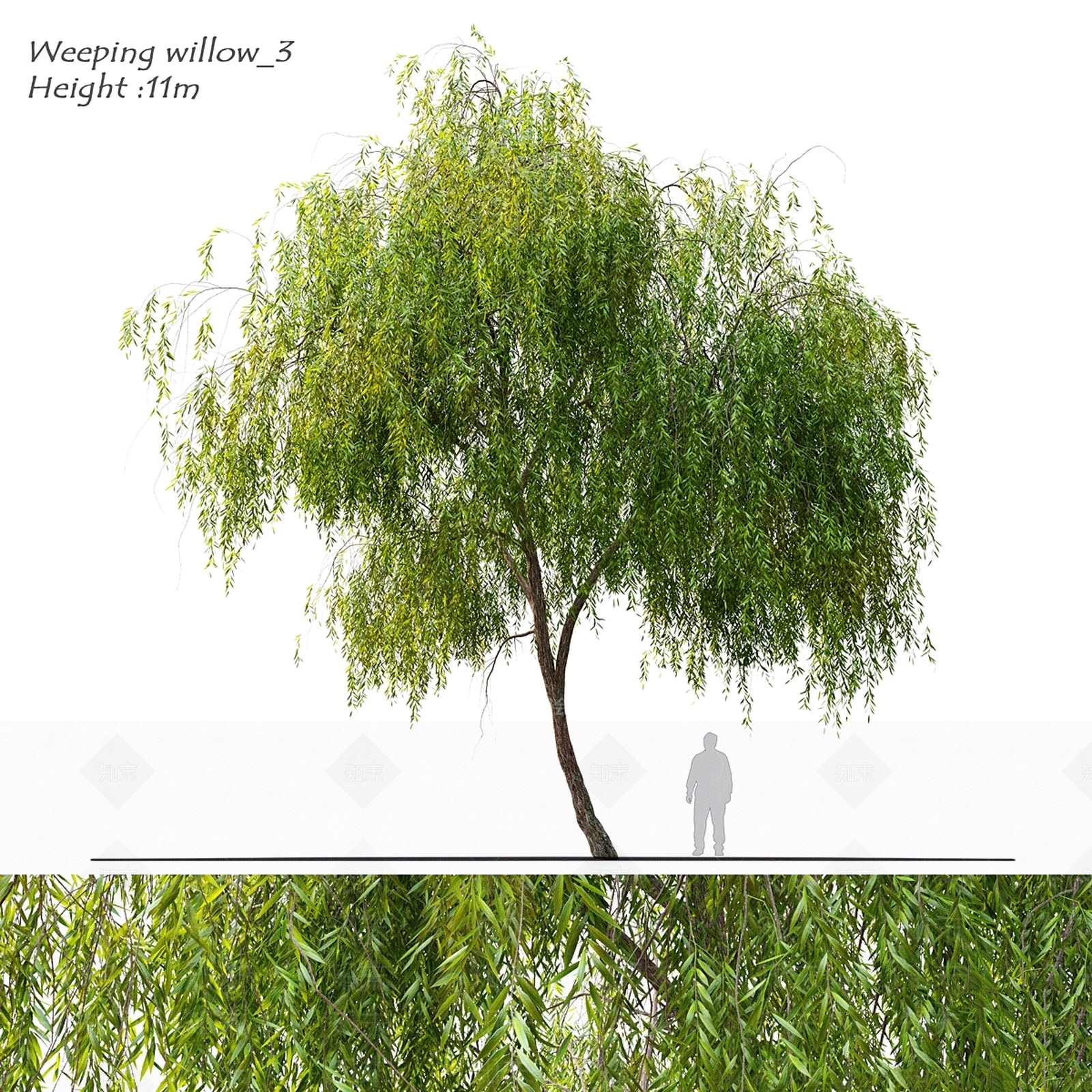 其他树木3D模型下载【ID:1179768555】