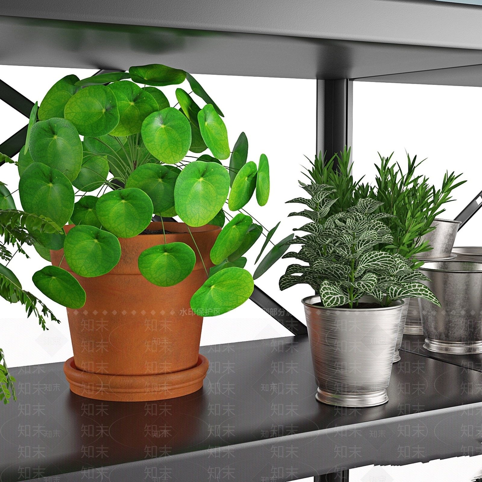 置物架3D模型下载【ID:1179773105】