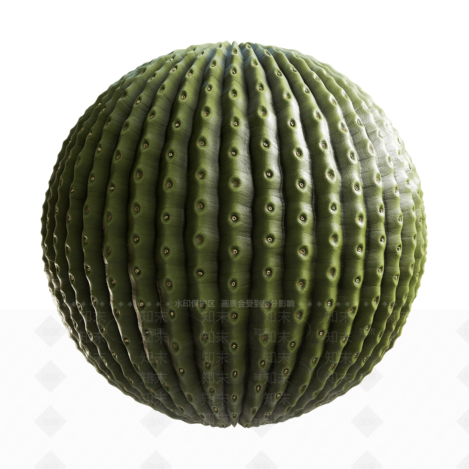 其他绿植3D模型下载【ID:1179778112】